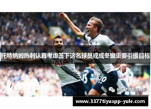 托特纳姆热刺认真考虑签下这名球员或成冬窗重要引援目标