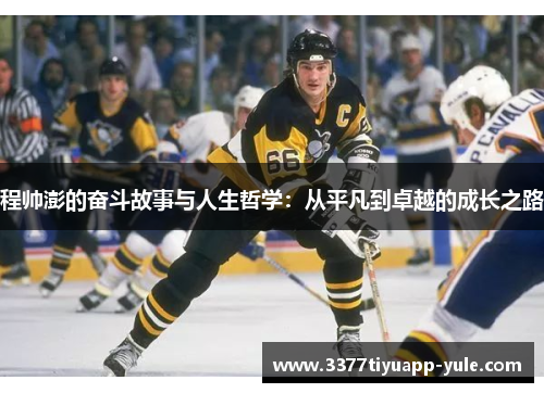 程帅澎的奋斗故事与人生哲学：从平凡到卓越的成长之路